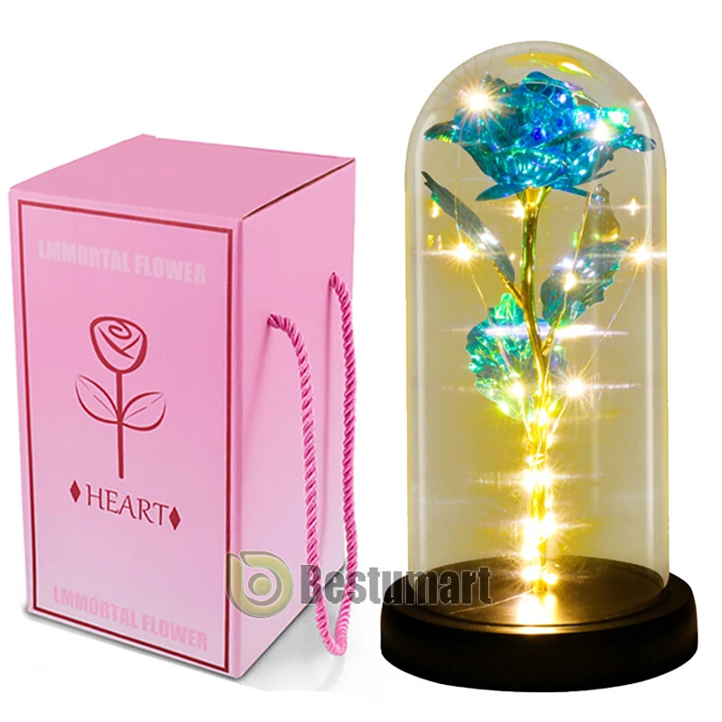 Eternal Forever Galaxy Rosa Flor En Cúpula de Vidrio Luz LED Regalo Día de la Madre Foto 1 de 4