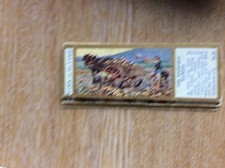 M12c Ty-phoo typhoo Tea card work on the farm no 25 the mangold wurzel 