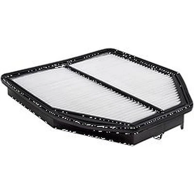 Baldwin PA10381 Panel Air Element For 16-22 Acura ILX Foto 1 de 4