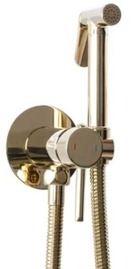 Gold Bidet Sprayer Mixer Expendable Handle 1.2m Sprayer Hose - Picture 1 of 6