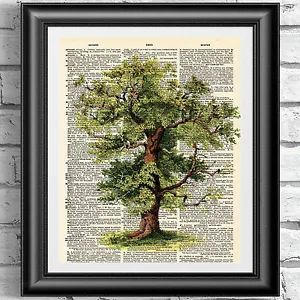 Diccionario impresión artística en página de libro antiguo cartel de árbol decoración del hogar jardín - Imagen 1 de 3