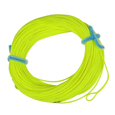 Lenza Da Pesca a Mosca 100FT/30.5M Peso in Avanti Galleggiante 2F/3F/4F/5F/6F/7F - Immagine 1 di 4