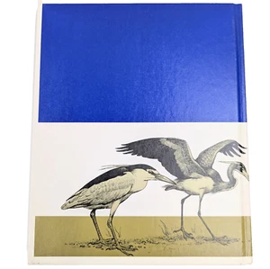 The Birds by Roger T. Peterson Science Young Readers Edition Home School Nature - Picture 1 of 8