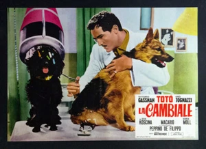 CINEMA-fotobusta poster LA CAMBIALE totò, gassman, tognazzi, MASTROCINQUE  - Imagen 1 de 1