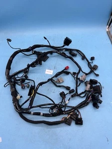 Triumph Daytona 660 2024 - Main Wiring Loom T2505709 - Picture 1 of 1
