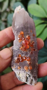 94 g NATURAL brillante espesartina granate sobre cuarzo ahumado Yunxiao Fujian China 1 - Imagen 1 de 15