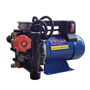 Dosing Pumps Agricultural Electric High Pressure Pump 12V/220V Spraying Watering - Picture 1 of 18