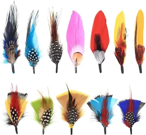 Sombrero Plumas, 12 Piezas Plumas Naturales, Mixto Surtido Sombreros de Vaquero Plumas, Craf - Imagen 1 de 12