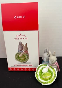 Vtg 2017 Hallmark "LITTLE SOMEBUNNY NEW" BABY Keepsake Ornament ~ FAMILY - Picture 1 of 7