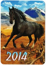 1 Pocket Wallet Calendar 🐎🐴 HORSE STALLION FOAL MARE 2014 Ukraine #02