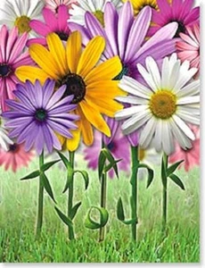 LEANIN TREE "Cheerful Gerber Daisies"~Thank You~Pack 8 Notecards #35406~ - Picture 1 of 1