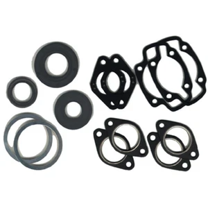 Fits 1976 Ski-Doo TNT 340 Gasket Set with Oil Seal 9673111 - Picture 1 of 1