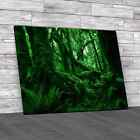 Rain Forest Scene Green Canvas Print Large Picture Wall Art