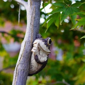 Tranquilo Rana Árbol Mirador Caras de Árbol Decoración Jardín Patio Árbol Esculturas Abrazador de Árbol - Imagen 1 de 10