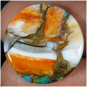 14,75 quilates. Ostra espinosa natural cobre turquesa cabujón redondo piedra preciosa suelta - Imagen 1 de 3