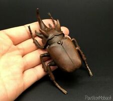 Brass Beetle Statue Insect Figurine Ashtray Decor Collection