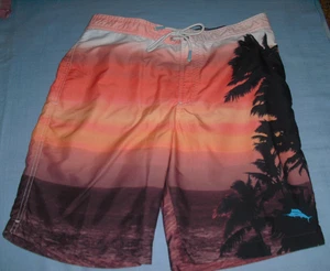 Tommy Bahama Mens Swim Trunks Board Shorts Size M 32 - 34 Lined Palm Tree Sunset - Picture 1 of 5
