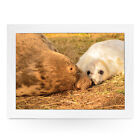 New Luxury Home Premium Framed Laptray  - Animals - Seal Kissing Mum 