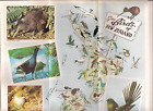 Lot Vintage de 2 Affiches Colores OISEAUX & FLEURS DE NOUVELLE-ZÉLANDE Années 1950