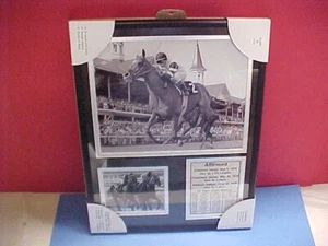 AFFIRMED 1978 TRIPLE CROWN WINNER KENTUCKY DERBY Framed Print.Please see photos - Picture 1 of 6