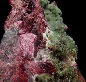 ERYTHRITE & green QUARTZ ---- MOROCCO Anti-Atlas Mts. - Bou Azzer /pl218 - Picture 1 of 18