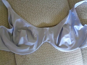 Bestform Light Blue Bra 42DD Underwire Support Nylon Spandex Blend 6982 - Picture 1 of 7