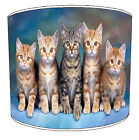 Pantallas De Lampara Para Combinar Gatos Gatitos Cojines Pared Arte Edredones