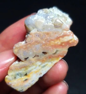 Rare 17G Natural Orbicular Ocean Jasper Rough Stone Healing Madagascar QT62 - Picture 1 of 15