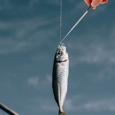  2 Pcs Haken-Ausziehhilfe Angeln Entfernung Angelzubehör Fischerzubehör - Bild 1 von 4