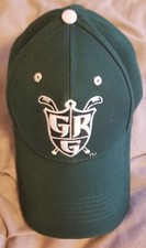 Grand Rapids Griffins AHL IHL green strapback adjustable cap hat
