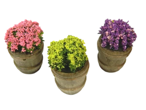 Vaso con Pianta Cm 4x6h - Modello a Scelta - Vegetazione per Presepe - Foto 1 di 21