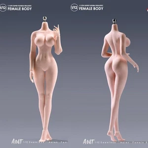 US 1:12 Pale Super Large Busto Paffuto Anca Corpo Senza Cuciture per Modellino 6" Femmina - Foto 1 di 19