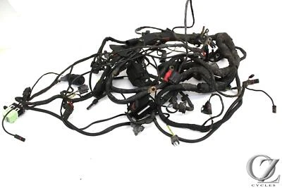 Telar arnés de cables principal BMW R1200GS Adventure 06 Foto 1 de 4