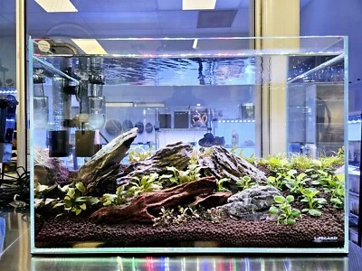 Acuarios de vidrio de hierro ultra bajo sin borde ultra transparente y biselado Foto 1 de 4