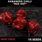 Red Hot Habanero Chilli, Capsicum Chinense, Chillie Seeds  X 15 Seeds