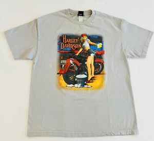 Harley Davidson 2016 Men’s Gray XL Tee~Pike’s Peak HD, Colorado Springs, CO - Picture 1 of 8