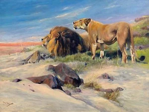 africa lion couple by W. Spielende Tile Mural Kitchen Backsplash Ceramic 10x8 - Bild 1 von 3