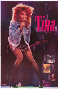 TINA TURNER POSTER ORIGINAL Capitol Records 1985 ALBUM PROMOTIONAL - Picture 1 of 1