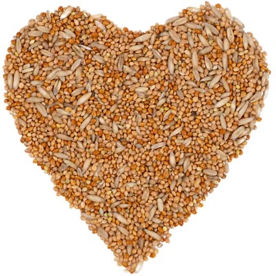 25 kg Wellensittichfutter Vogelfutter Ziervögel Alleinfutter Vögel Lyra Pet® - Bild 1 von 4