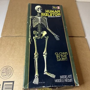 Vtg Revell 1977 Human Skeleton Glow In Dark Model Kit H-903 100% COMPLETE - Picture 1 of 13