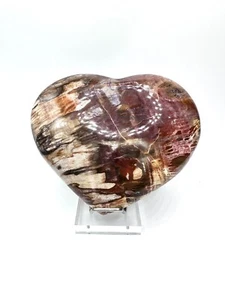 Versteinertes Holz Herzform - Bild 1 von 2