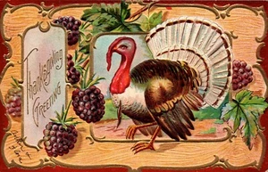POSTCARD THANKSGIVING TURKEY GOBBLER & GRAPES EMBOSSED - 1909 NO. 2 - Picture 1 of 2