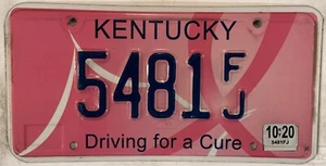 Find Cure BREAST CANCER license plate Komen Survivor Pink Ribbon Awareness fight - Picture 1 of 8