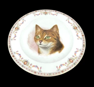 Vintage Hutschenreuther Selb LHS Gray Tabby Cat Kitten Cabinet Plate 10" - Picture 1 of 8