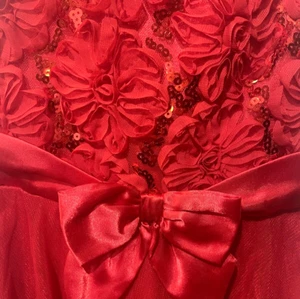 Pinky Girls~Sz 12~Red Dressy Dress w/Zip, Flowerwork,Tie, Bow, Ruffles & Sequins - Picture 1 of 10