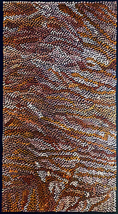 Joy Purvis Petyarre ,Authentic Aboriginal Art, Size; 100 x 50cm  Bush Yam Seeds.