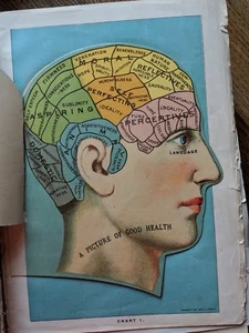 1920 Library of Health pop-up Color Medical Prints Quirky Science Interesting - Picture 1 of 11