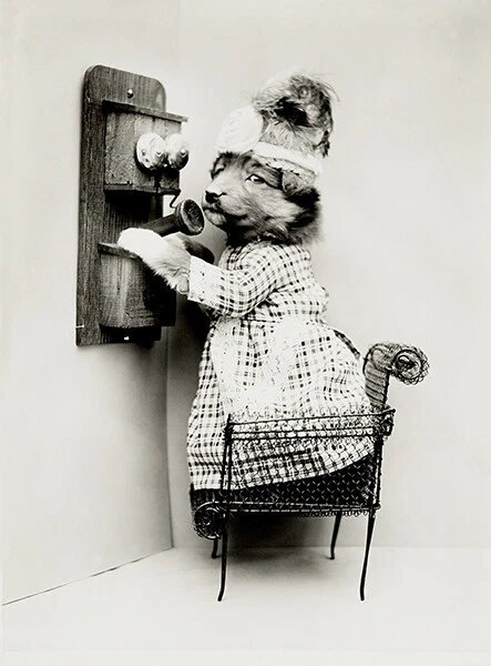 Making A Date - Perro cachorro por teléfono - 1914 - Póster fotográfico Foto 1 de 1