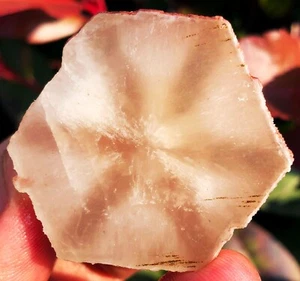 216CT WOW! RARE Natural Trapiche Star White Quartz CRYSTAL Specimen ip1865 - Picture 1 of 15