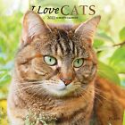 LOT 2 calendriers muraux I LOVE CATS & CHIOTS 2022 Platon 16 mois 12x12" NEUF !!!